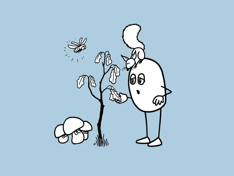 Das geheime Leben des Waldes