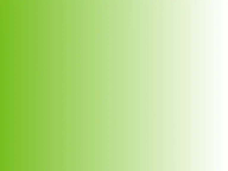 Workshop  – Koloss