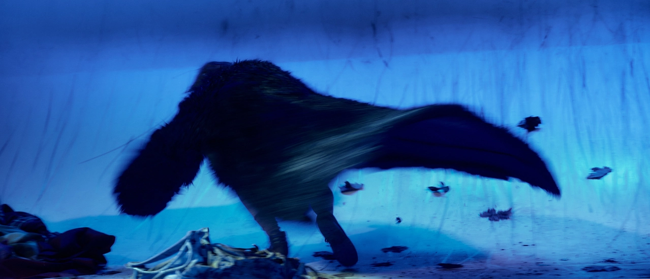 Dekoratives Szenenfoto aus Wolf.