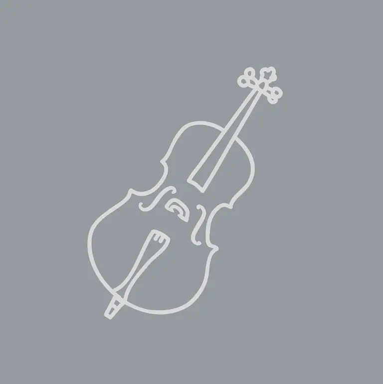 Platzhalterfoto Cello: grauer Hintergrund mit weißer Cello-Grafik
