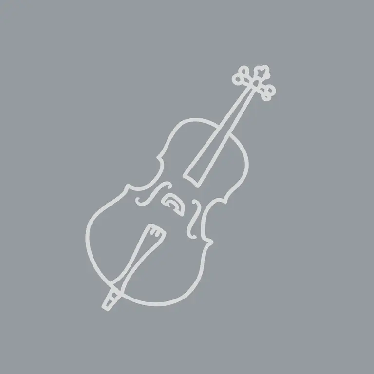 Platzhalterfoto Cello: grauer Hintergrund mit weißer Cello-Grafik