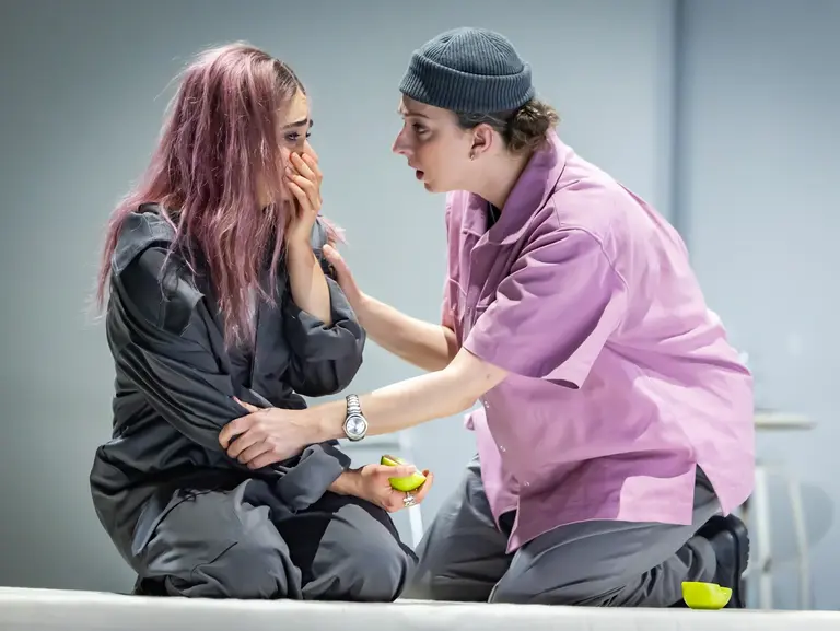 Die diebische Elster (La gazza ladra)