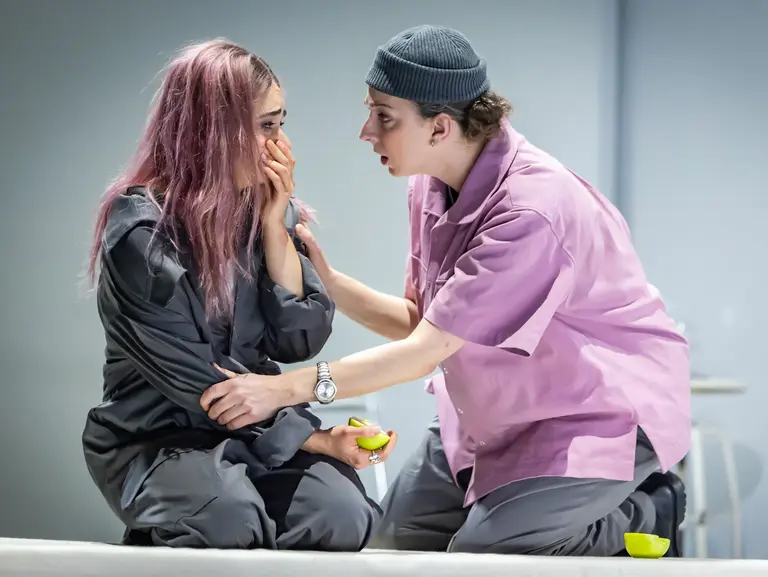 Die diebische Elster (La gazza ladra)