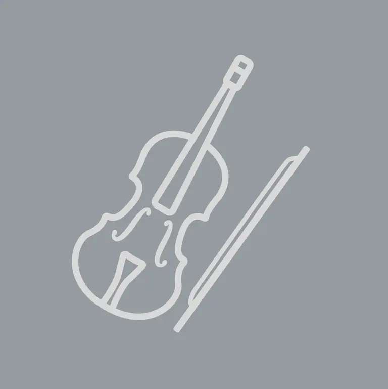 Platzhalterfoto Violine: grauer Hintergrund mit weißer Violine-Grafik