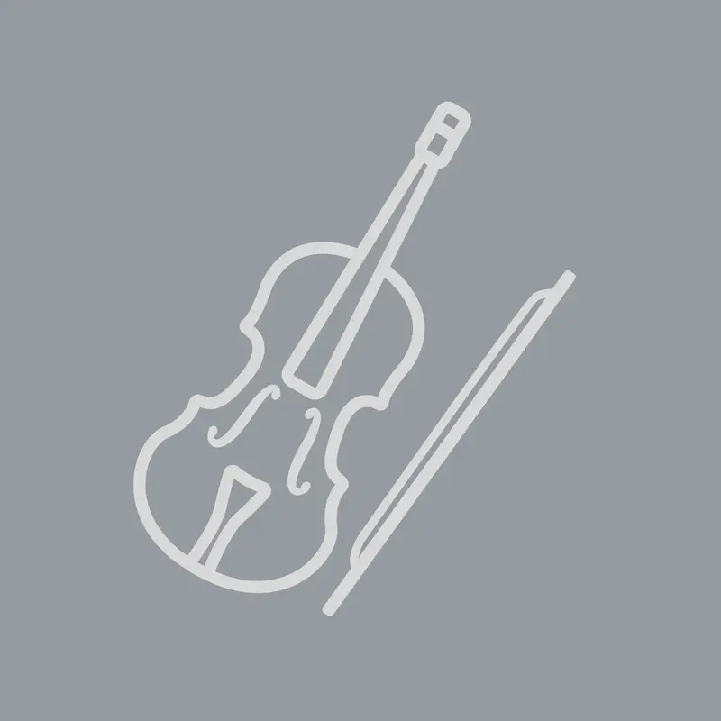 Platzhalterfoto Violine: grauer Hintergrund mit weißer Violine-Grafik