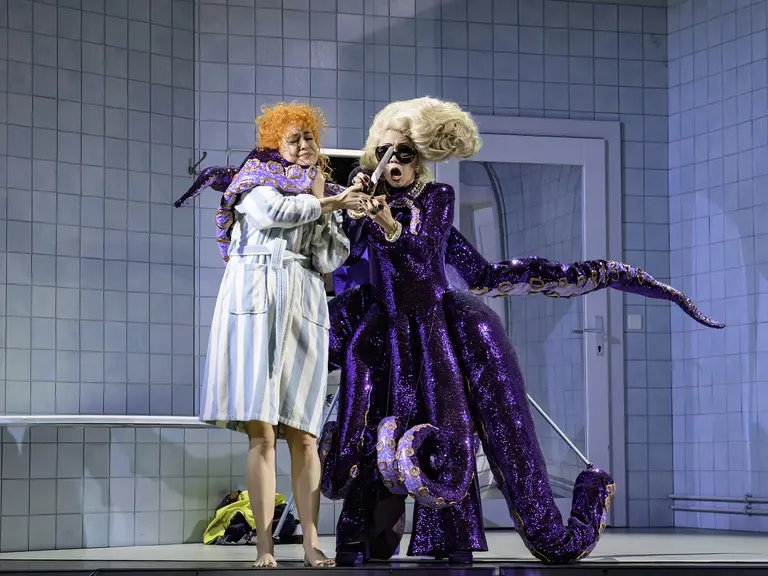 Die Zauberflöte